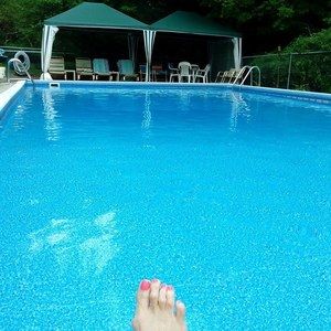 Meet your Posher, Diane